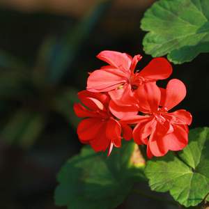 再深点灬舒服灬太大了少妇
